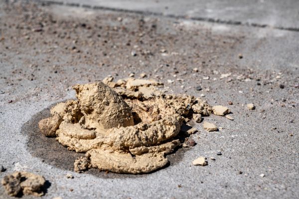 Cost of Driveway Slab Leveling in Kingsport
